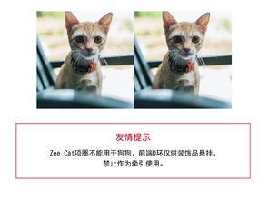 猫咪生活圈:宠物秘籍分享站