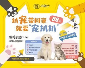小佩宠物,养宠秘籍