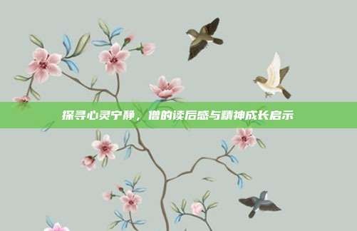 探寻心灵宁静,僧的读后感与精神成长启示