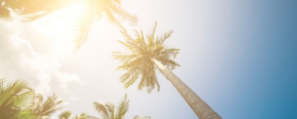 2025年一伏二伏三伏表出炉 三伏天如何养生