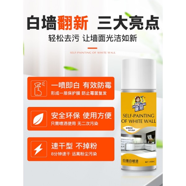 白墙面去污遮盖白色墙壁翻新防霉墙体清洁涂鸦除去霉剂