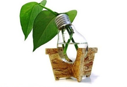 手工diy 废物利用小灯泡的绿植花瓶