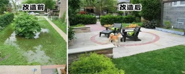 低洼沼泽变干燥休闲空间.png