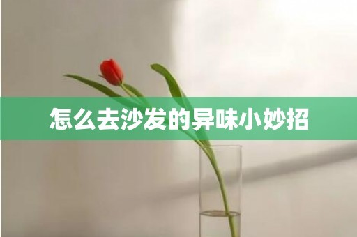 怎么去沙发的异味小妙招
