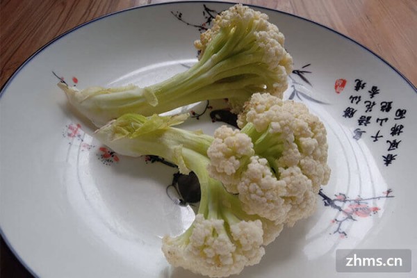 养生吃哪些食物好