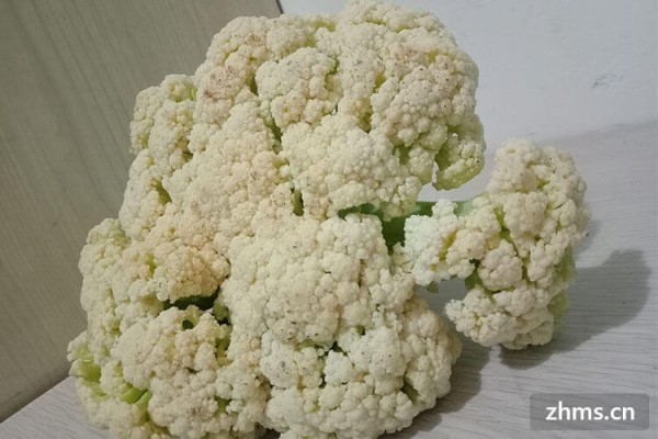 养生吃哪些食物好