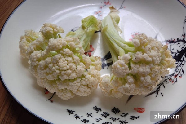 养生吃哪些食物好