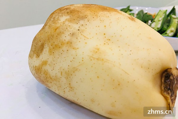 最养生的食物
