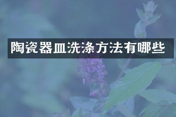 陶瓷器皿洗涤方法有哪些
