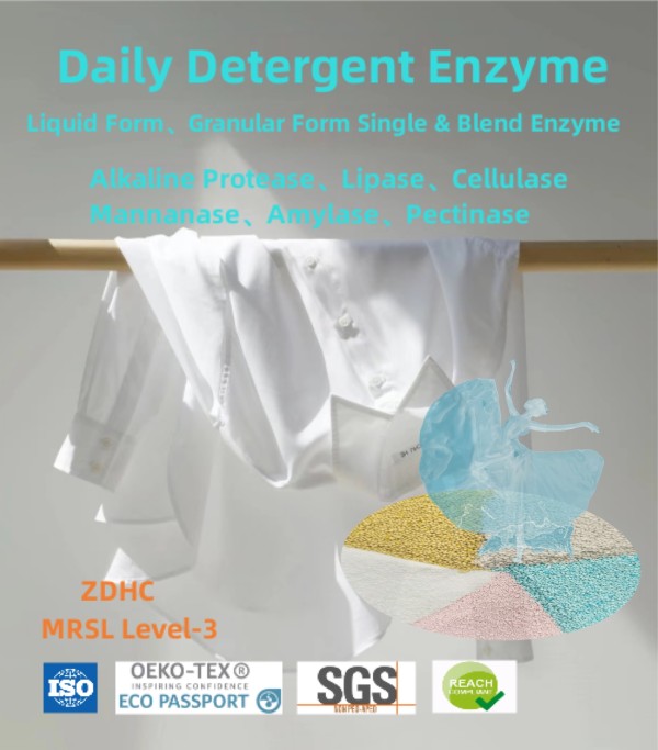 professional detergent enzyme . alkaline protease, amylase, lipase, pectinase, mannanase, cellulase