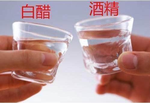 瓷砖太脏别用清水擦！教你一招还能够保护瓷砖表面光亮如新