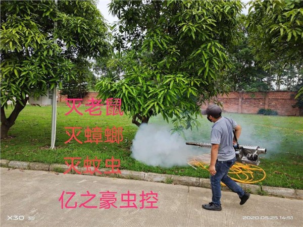 钦州厨房灭蟑螂妙招