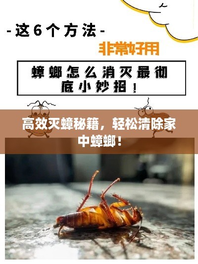 高效灭蟑秘籍，轻松清除家中蟑螂！