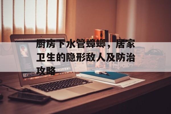厨房下水管蟑螂，居家卫生的隐形敌人及防治攻略