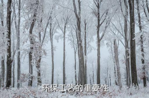  环保工艺的重要性