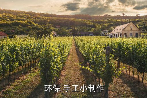  环保 手工小制作