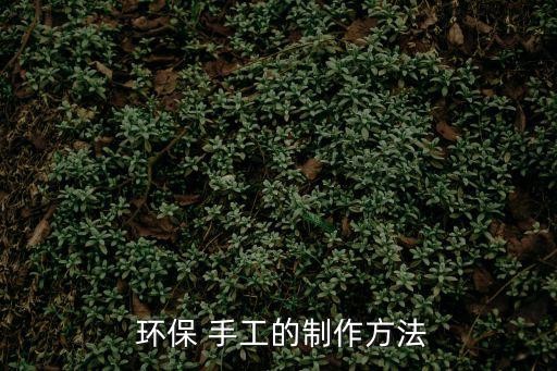  环保 手工的制作方法
