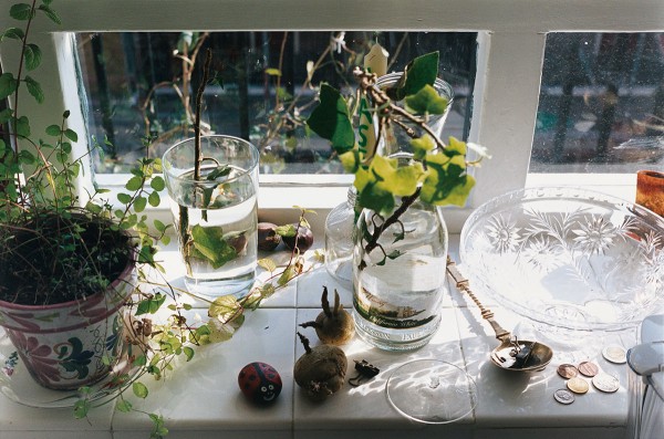 ヴォルフガング・ティルマンス『still life, Bourne Estate』　何げない窓辺を写した、静物画のような作品。2002年Courtesy Wako Works of Art