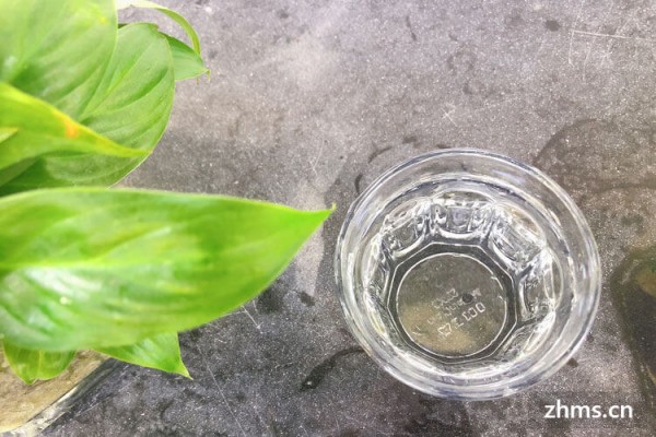 减肥营养食谱，支持减肥的得力者