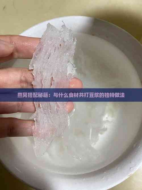 燕窝搭配秘籍：与什么食材共打豆浆的独特做法