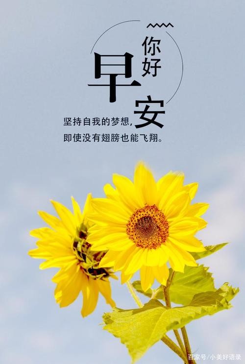 早安唯美朋友圈语录——提升生活幸福感的小确幸（让早晨充满温馨与美好）