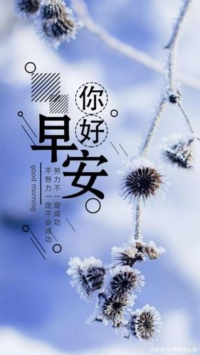 早安唯美朋友圈语录——提升生活幸福感的小确幸（让早晨充满温馨与美好）
