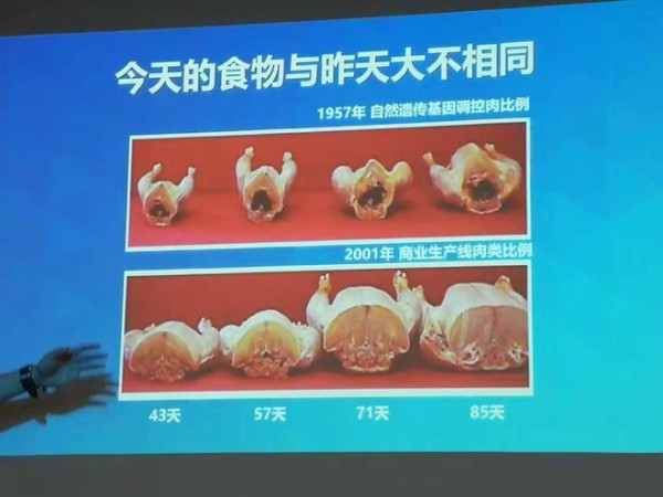 快手早餐集合的做法