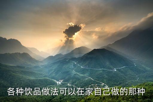 各种饮品做法可以在家自己做的那种