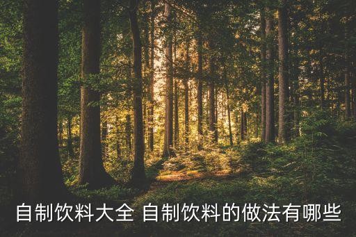 自制饮料大全 自制饮料的做法有哪些