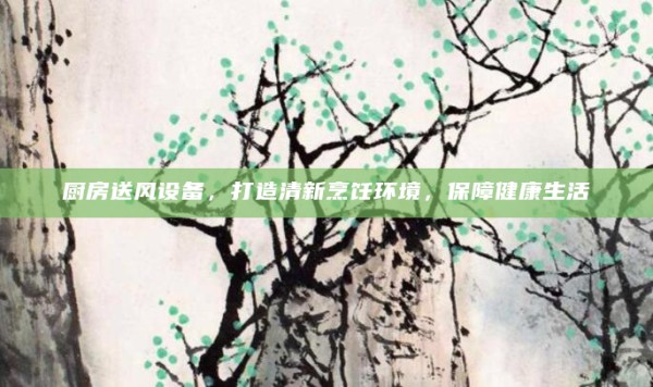 厨房送风设备，打造清新烹饪环境，保障健康生活