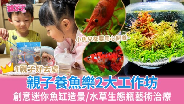 亲子共享养鱼乐