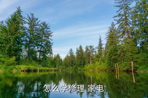 怎么学修理 家电