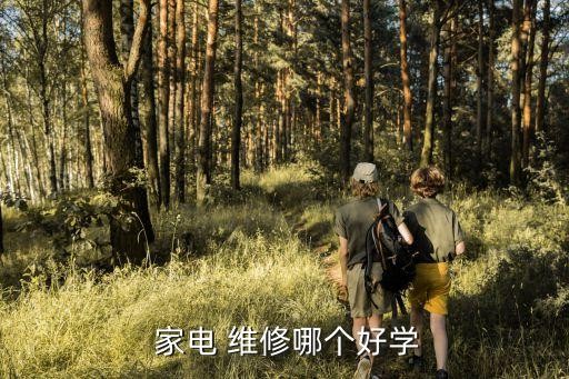  家电 维修哪个好学