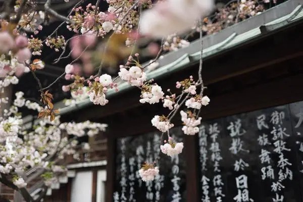 日本房车自驾游 日本自驾 日本房车旅行