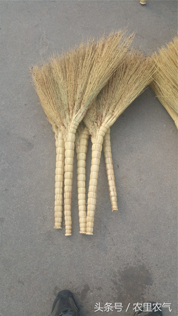 这种天然环保的清扫工具，为何用的人越来越少？