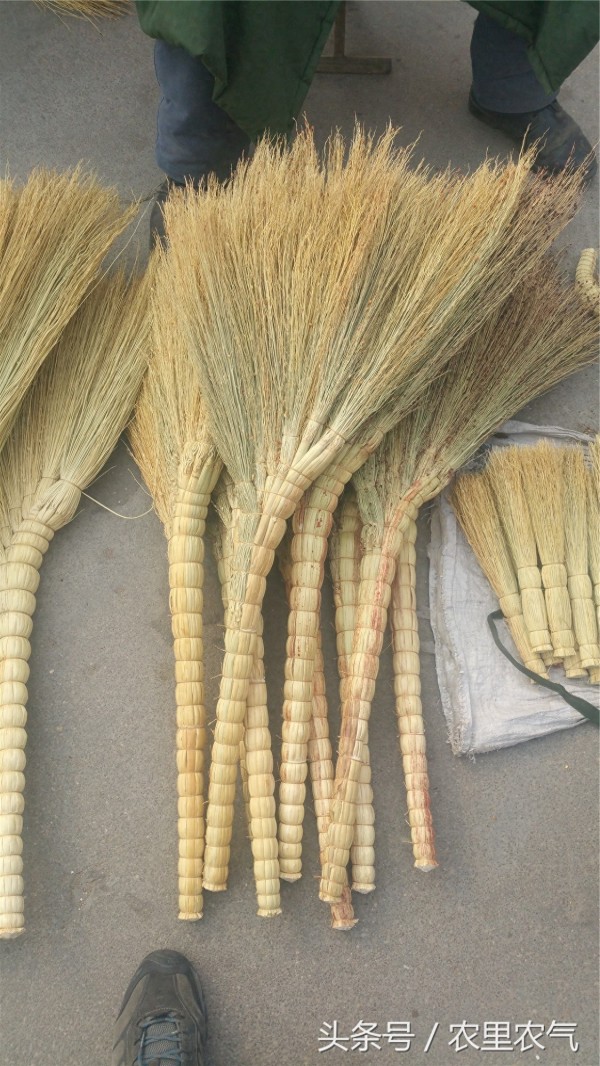 这种天然环保的清扫工具，为何用的人越来越少？