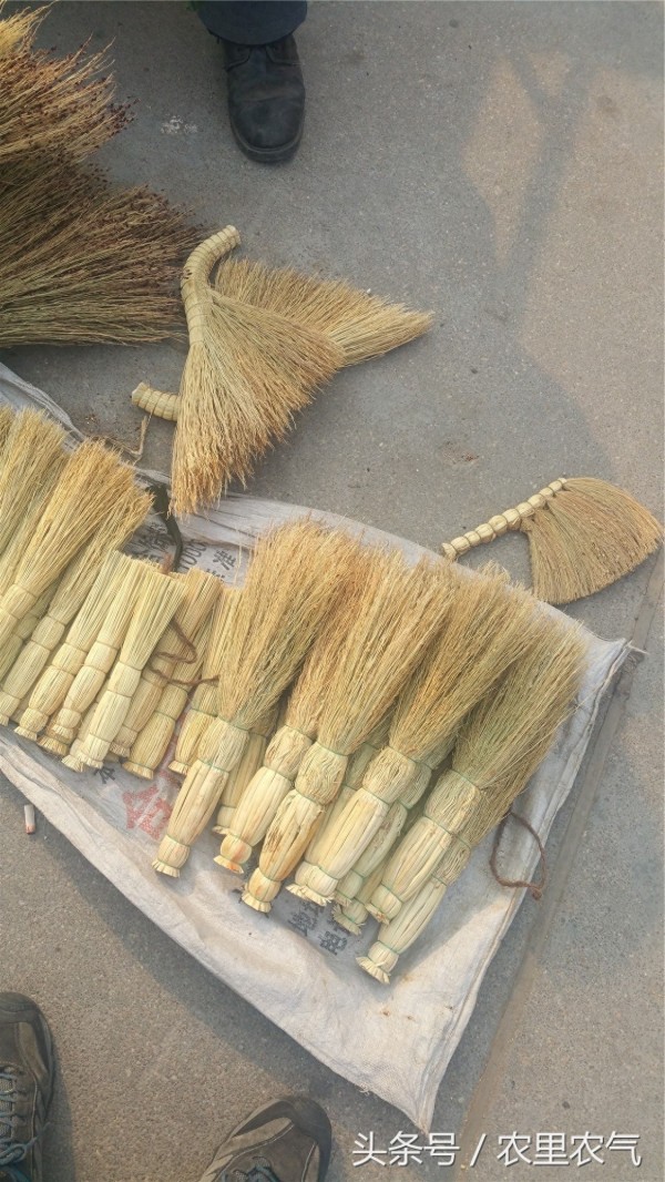 这种天然环保的清扫工具，为何用的人越来越少？