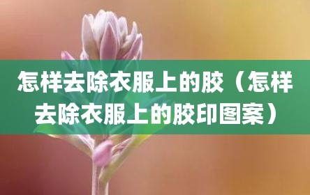 怎样去除衣服上的胶（怎样去除衣服上的胶印图案）