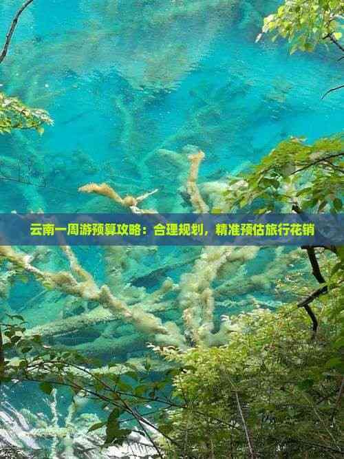 云南一周游预算攻略：合理规划，精准预估旅行花销
