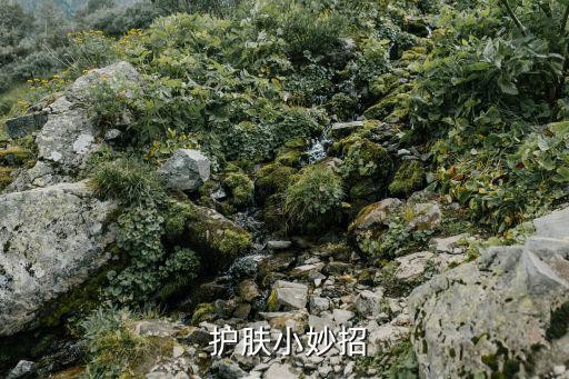  护肤小妙招