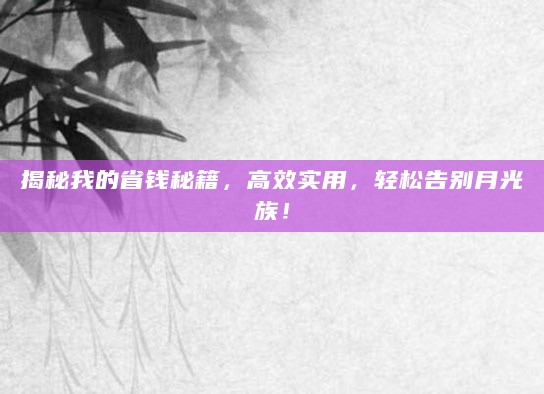 揭秘我的省钱秘籍，高效实用，轻松告别月光族！