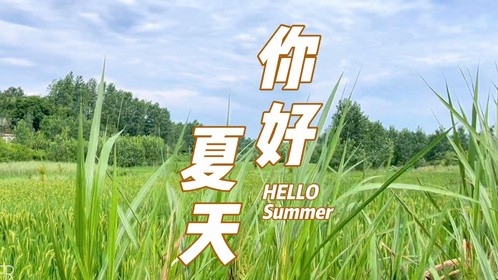 夏日的风，我不知道，为何如此贪恋家乡