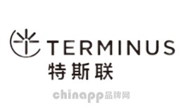 智慧社区十大品牌-特斯联TERMINUS