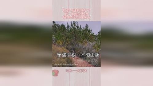 放洞口拜拜就好了，万一有蛇怎么办，钻进去还出得来不！