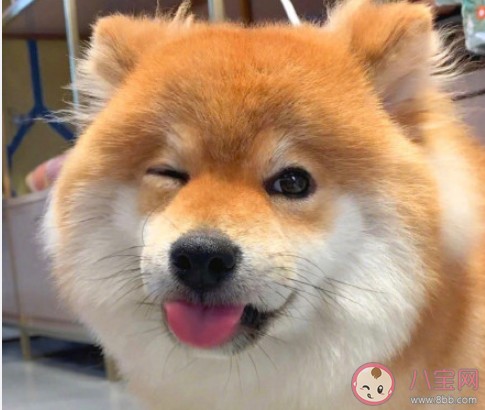 如何解决生活焦虑 太焦虑了该怎么办