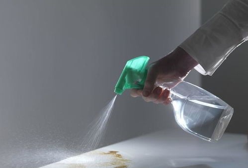 常用的五种消毒方法有哪些(常用的消毒方法有哪五种)