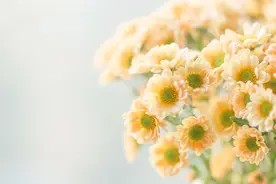 10个节俭习惯,送给所有想存钱的你图片
