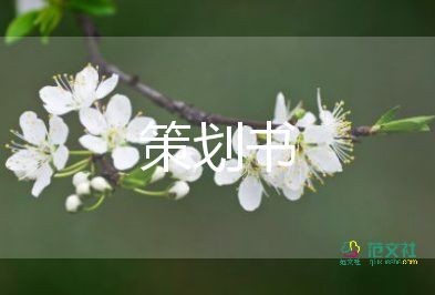 活动创意方案策划优质7篇