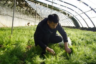 感受休闲农业之美 全省休闲农业推介暨乡村振兴创意设计推广媒体行活动走进廊坊霸州