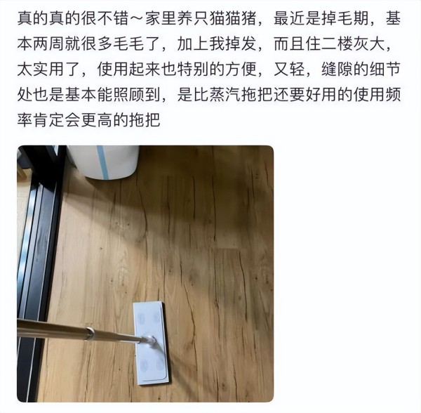 家用拖把神器哪个好用（教你如何选择最合适的拖把）